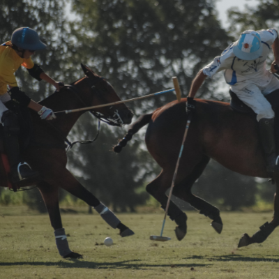 jugadores de polo