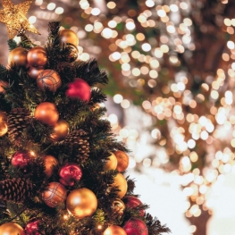 Que look para una navidad especial