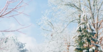 Los imprescindibles del invierno