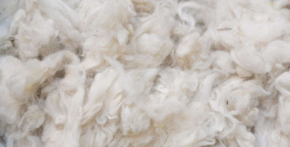 La lana merino: alianza perfecta entre calor y elegancia